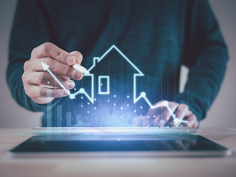 Local Market Insights