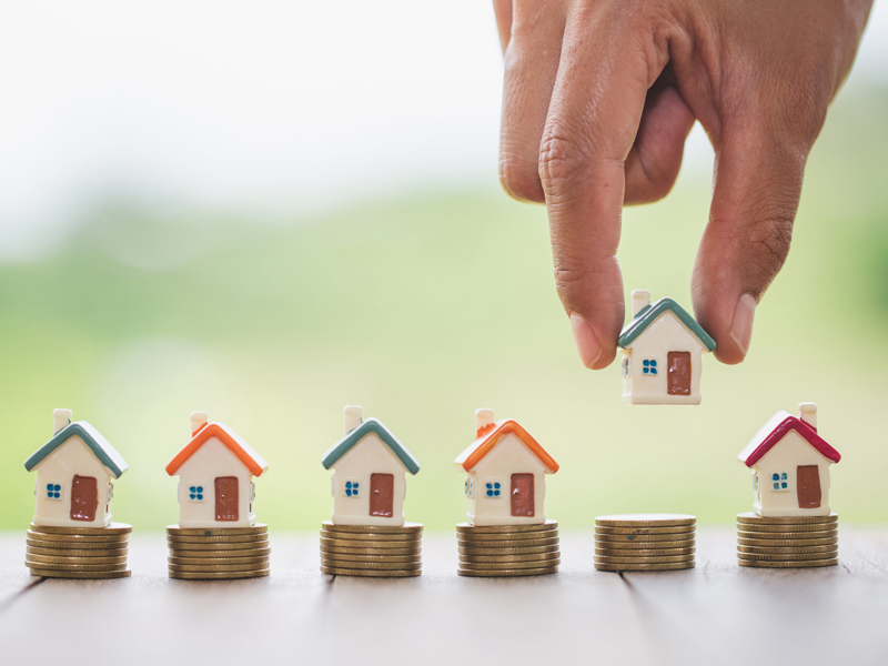 Portfolio Development